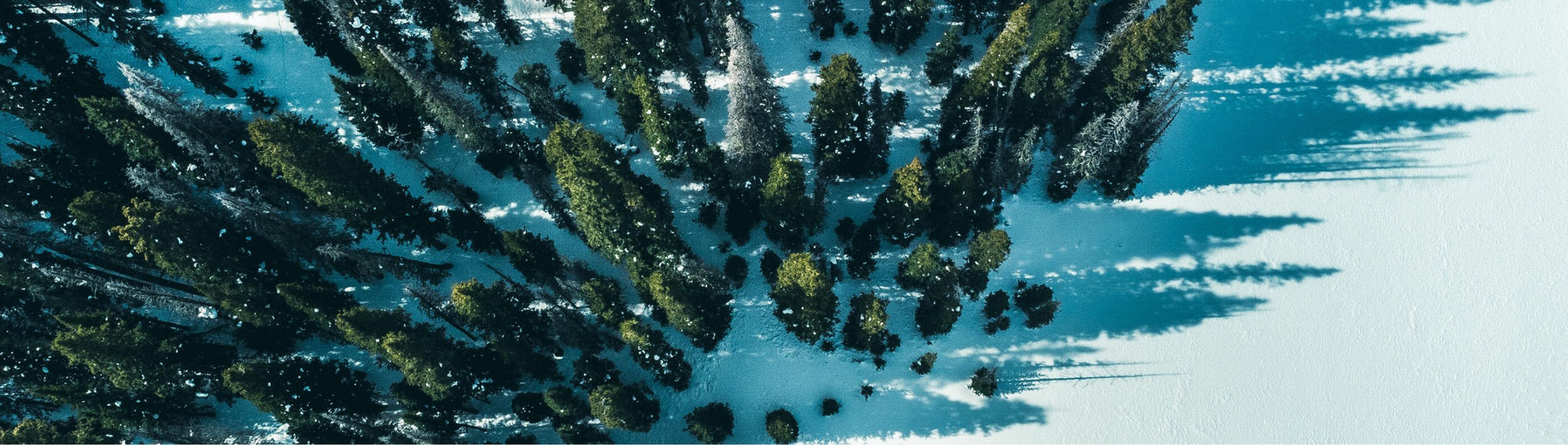Apparel & Goods Banner image