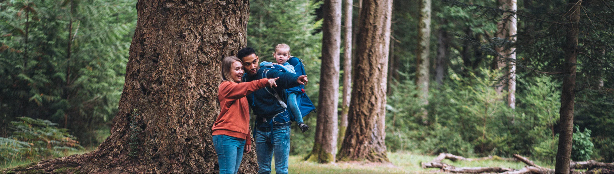 Child Carriers Banner image