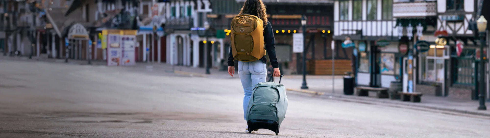 Checked Luggage Banner image