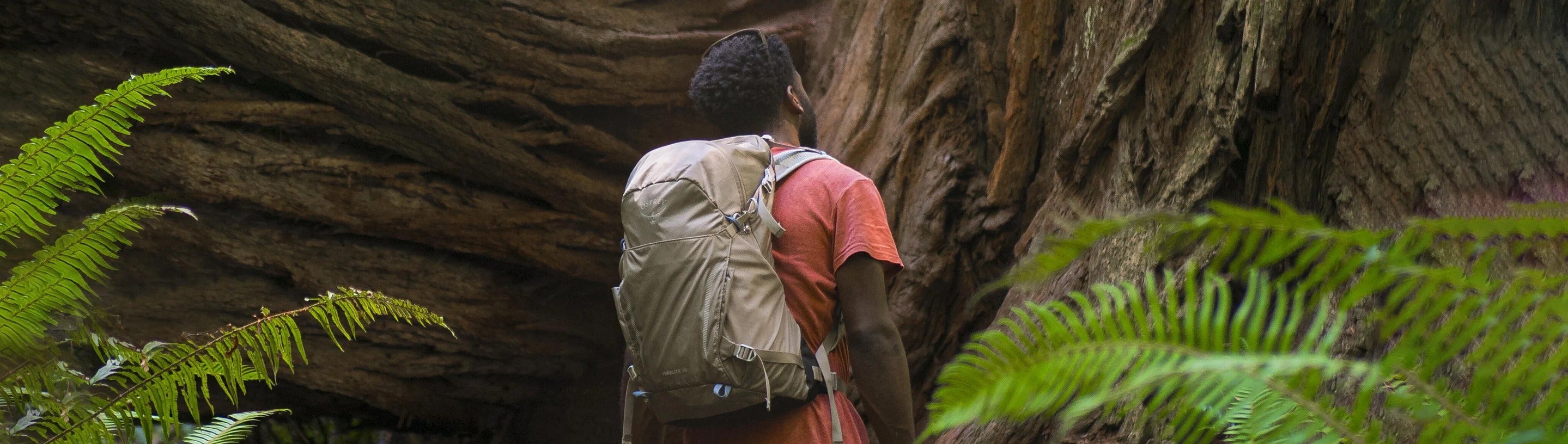 Hikelite Banner image