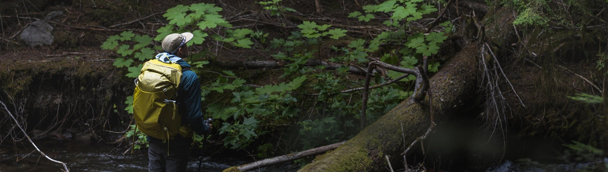 Waterproof Backpacks Banner image