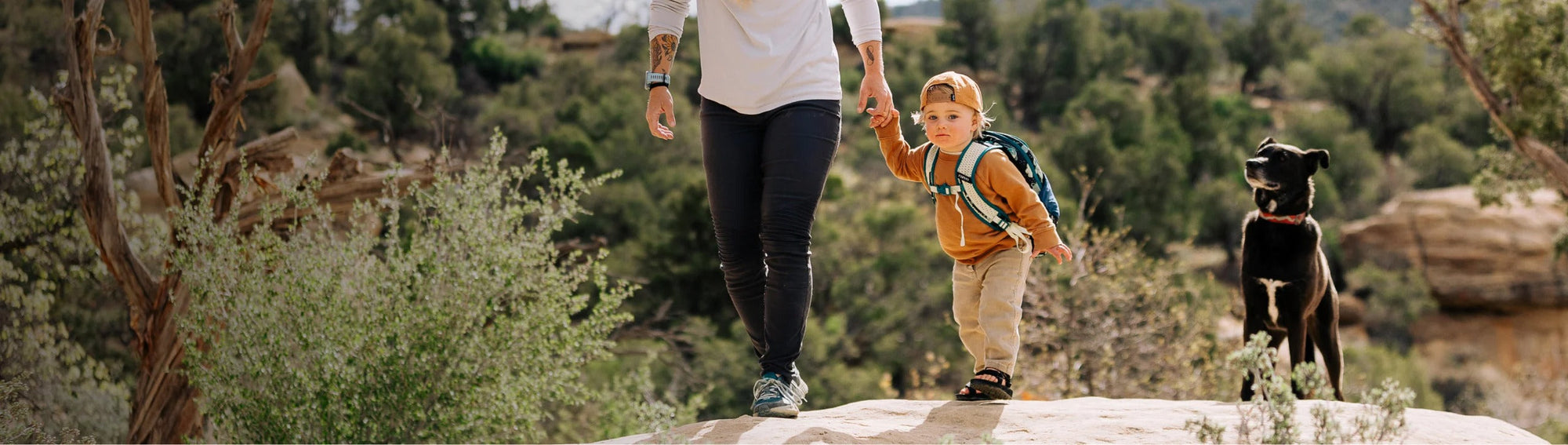 Kid's Packs & Carriers Banner image