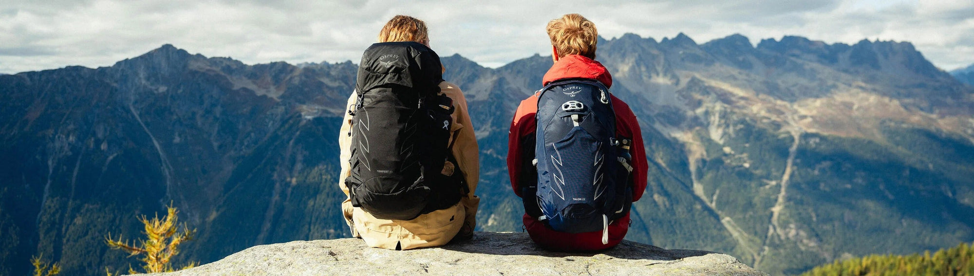 Icons Banner image