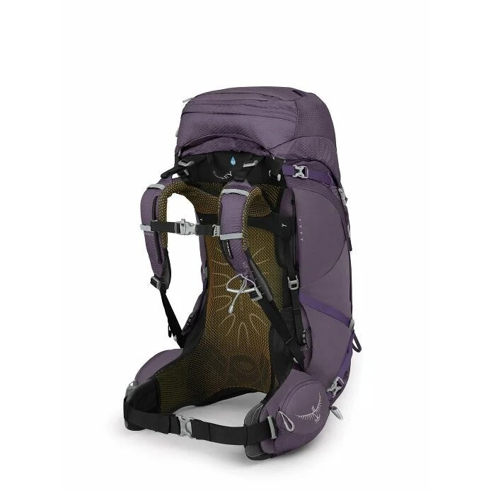 Purple hiking backpack on a white background