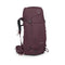 Elderberry Purple