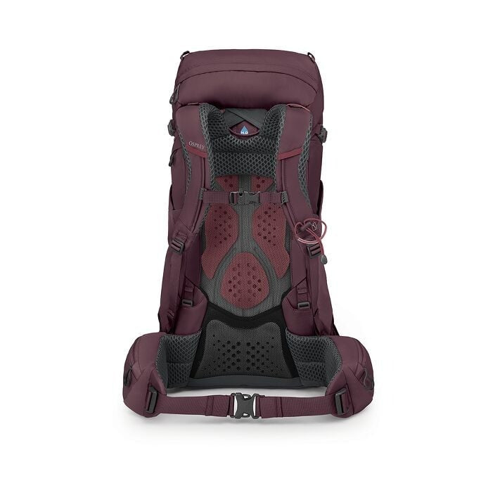 Kyte™ 38