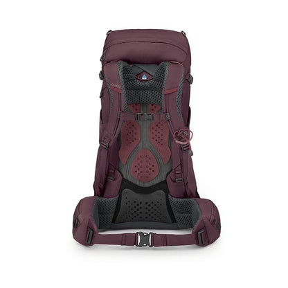 Kyte™ 38