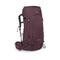 Elderberry Purple