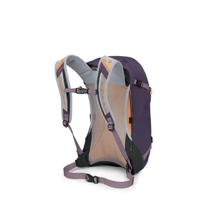 Purple and gray backpack on a white background