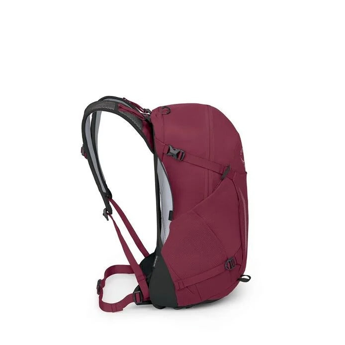 Maroon backpack with black straps on a white background