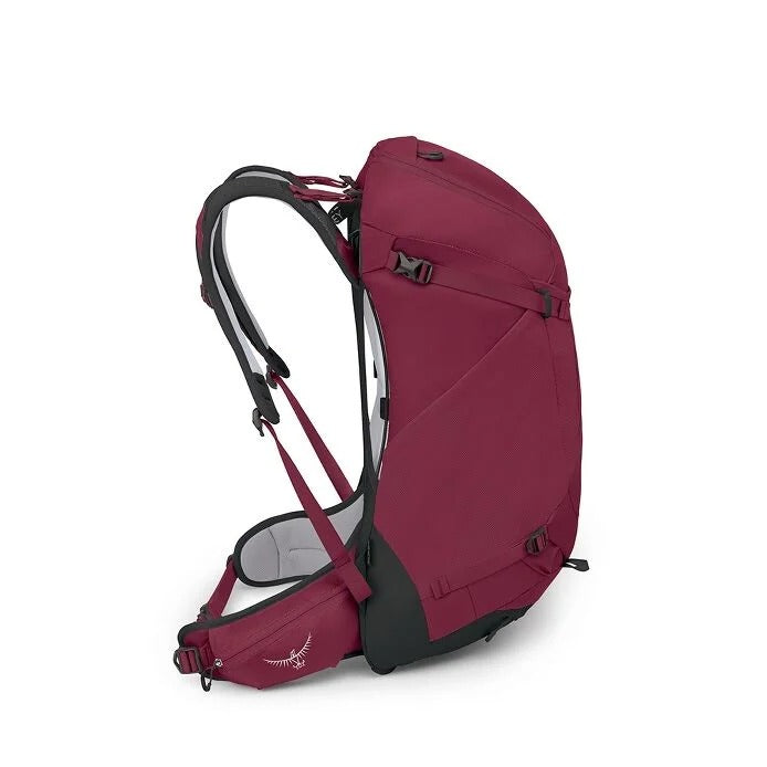 Maroon backpack with black straps on a white background