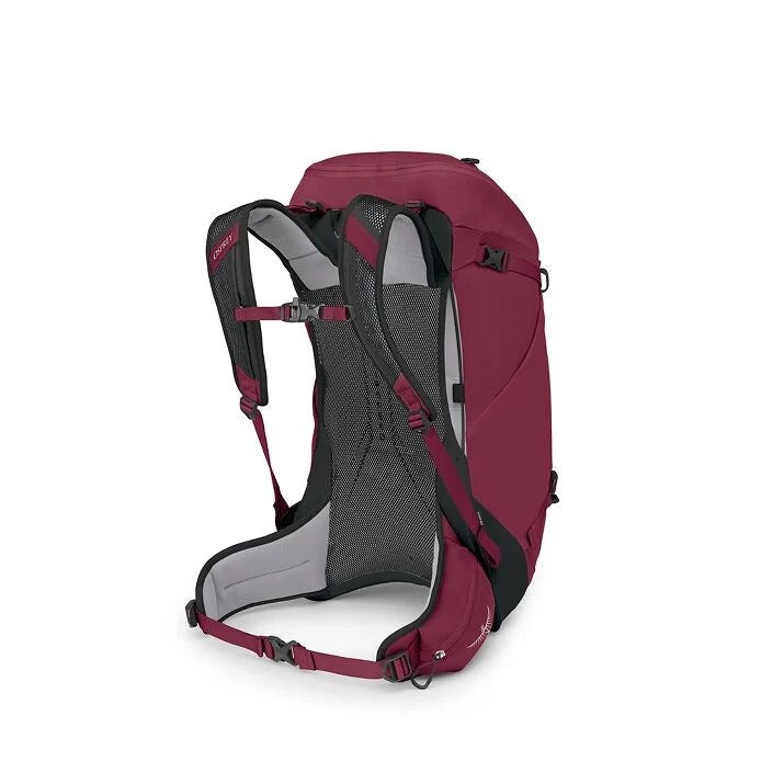 Red backpack with black straps on a white background