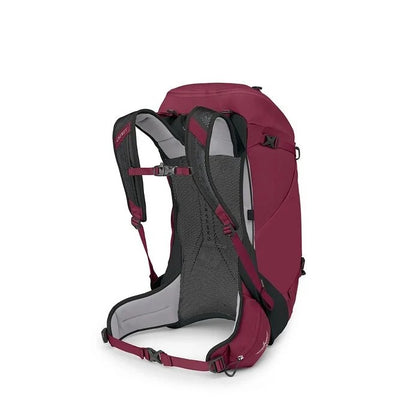 Red backpack with black straps on a white background