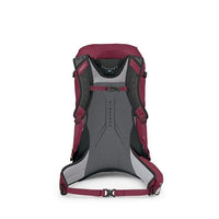 Maroon and gray backpack on a white background