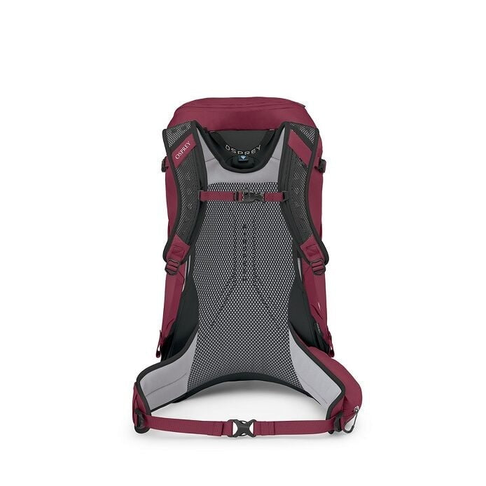 Maroon and gray backpack on a white background