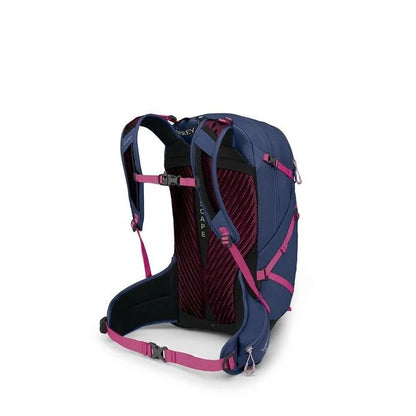Blue and pink backpack on a white background