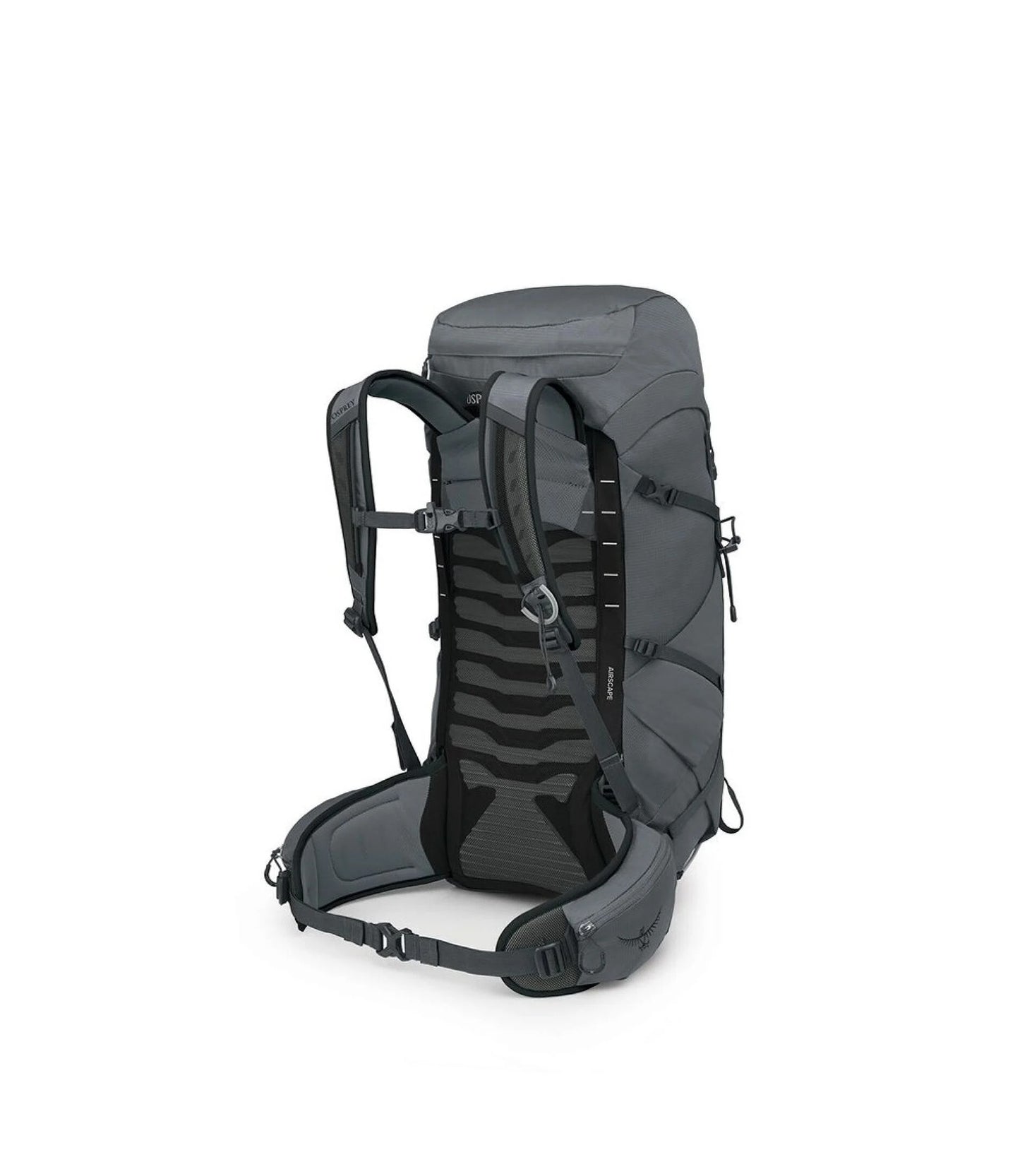 Talon™ 33
