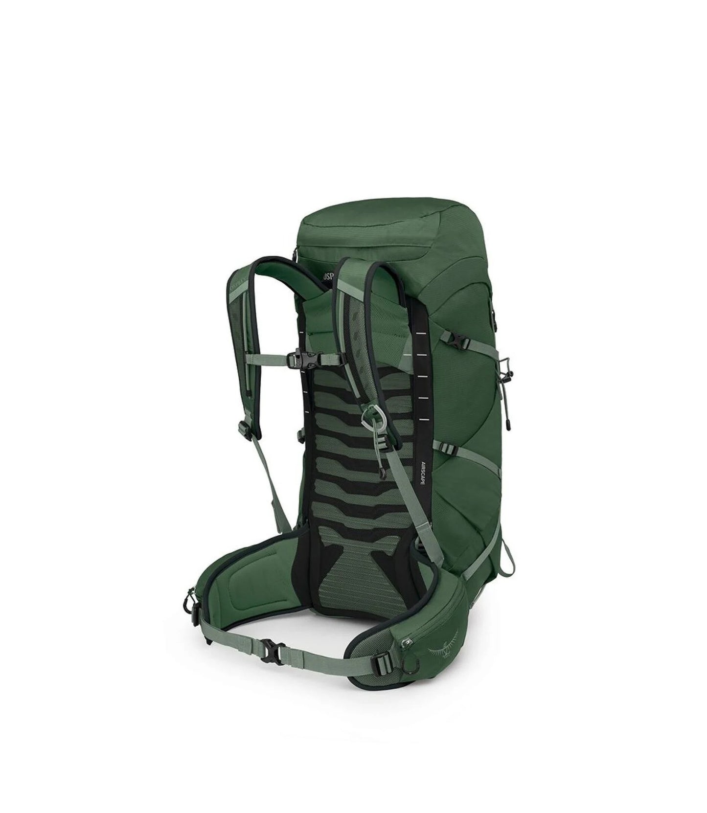 Talon™ 33