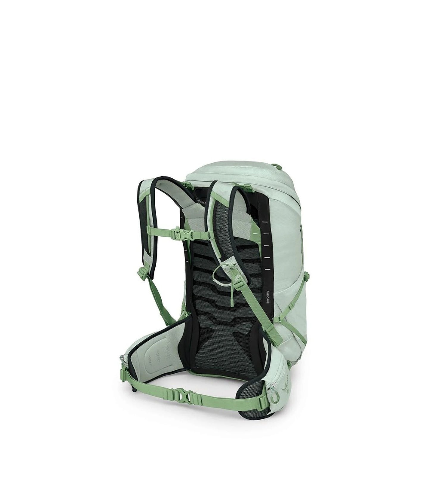 Tempest™ 26
