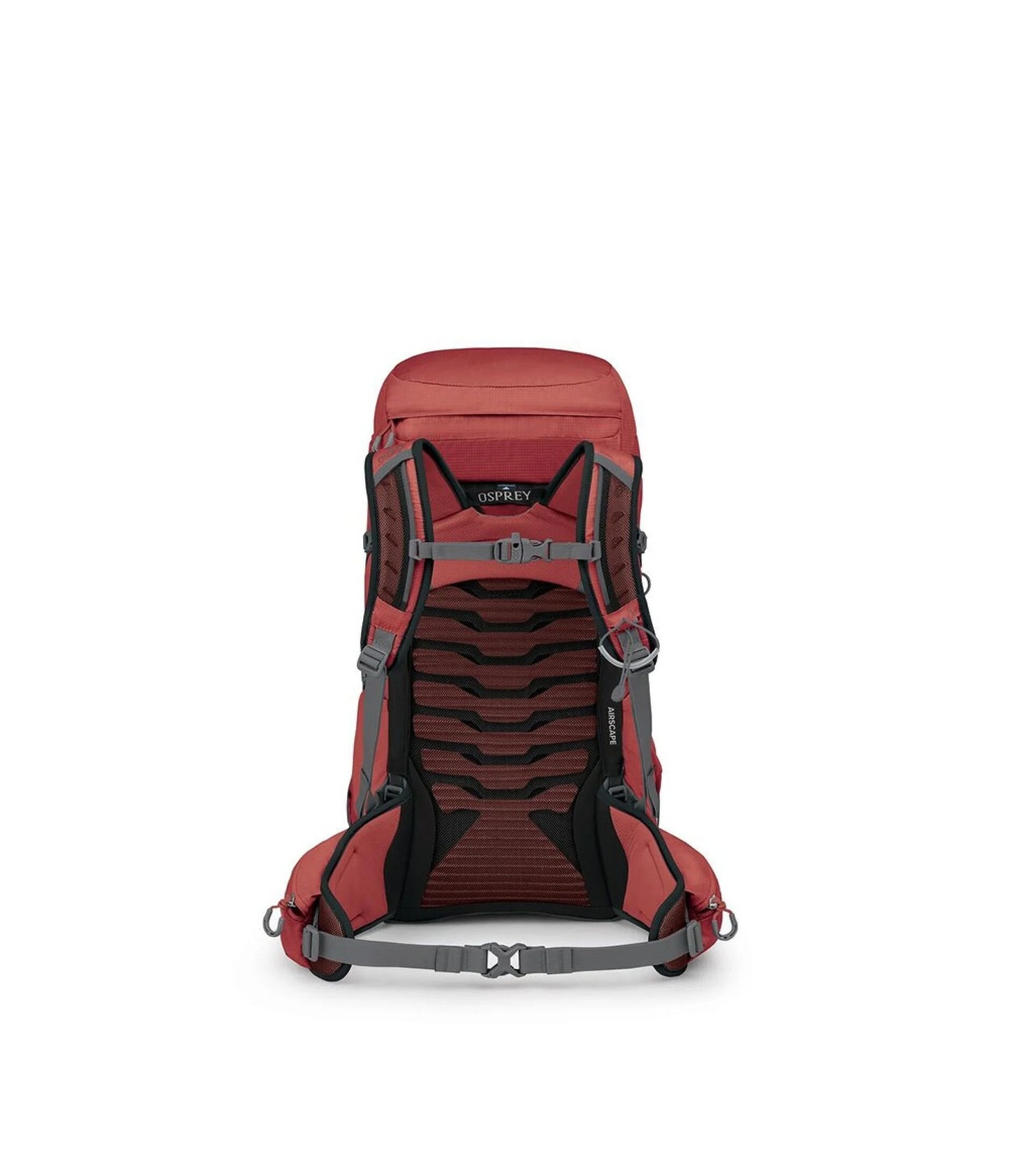Tempest™ 33