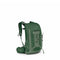 Green Canopy/Pine Leaf