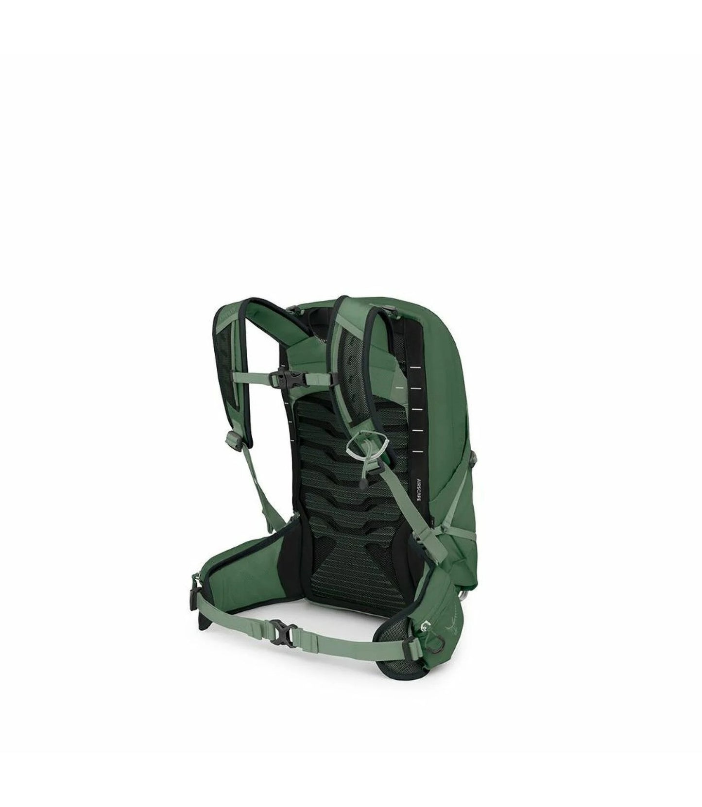 Talon™ 11