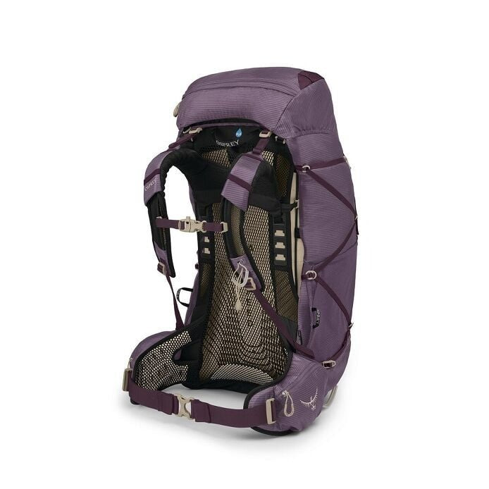 Purple hiking backpack on a white background