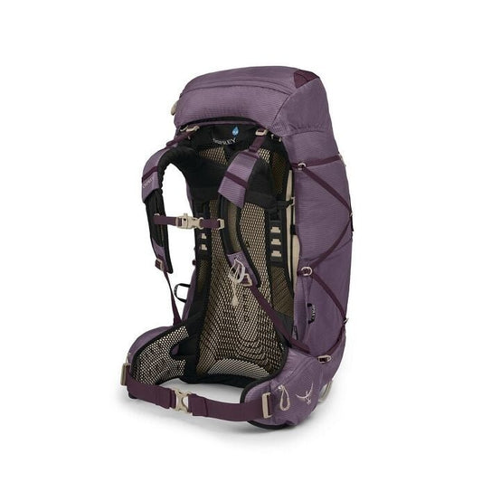 Purple hiking backpack on a white background