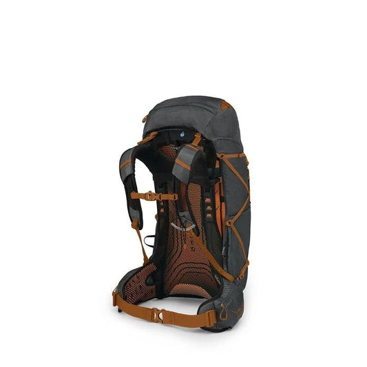 Gray and brown backpack on a white background