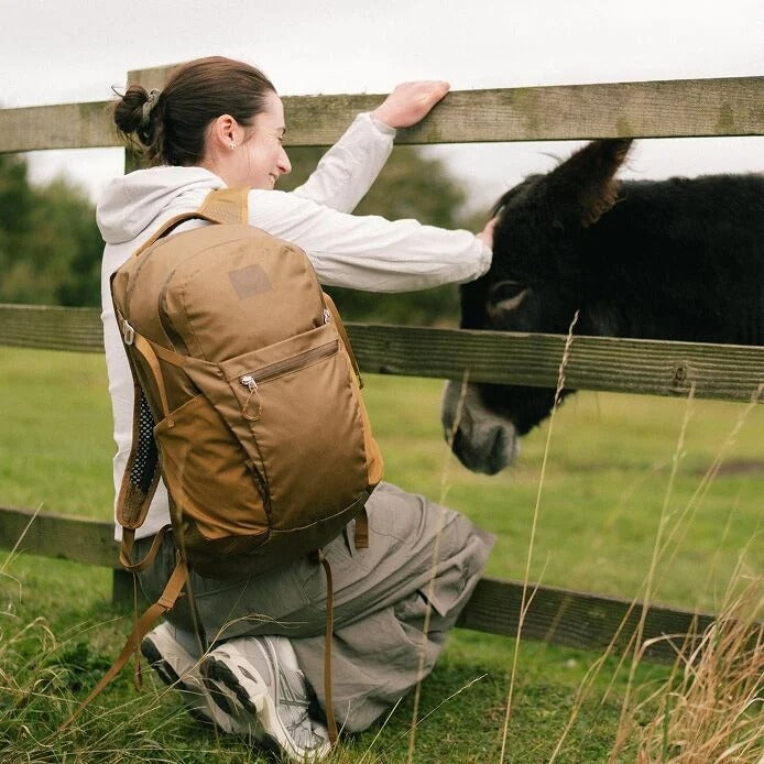 Person with a backpack petting a cow through a wooden fence in a field.