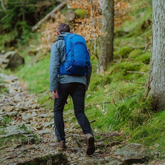 Person hiking on a trail in a forest with a blue backpack