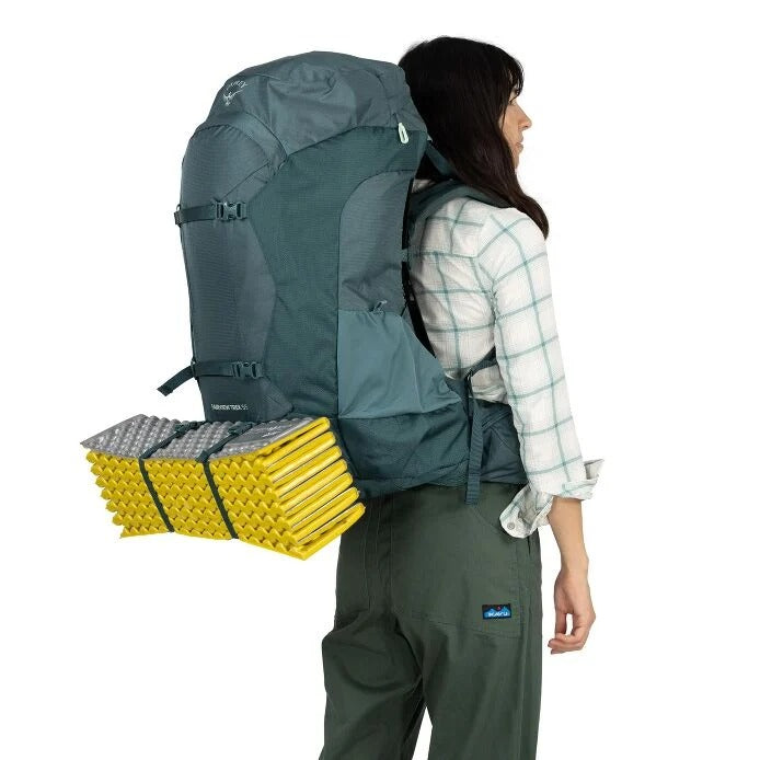 Fairview Trek 55 Travel Pack