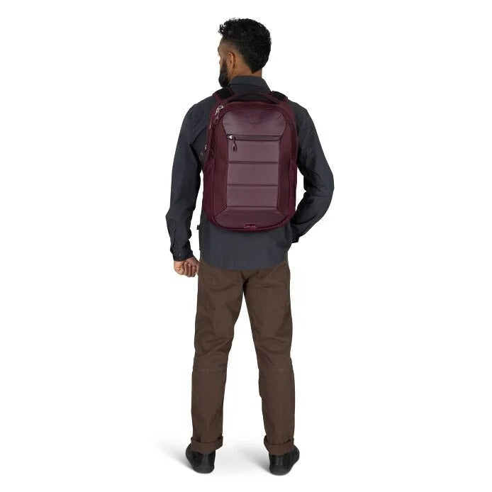 Ozone Laptop Backpack