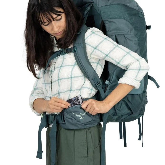 Fairview Trek 55 Travel Pack