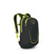 Black/ Lemongress