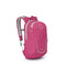 Hotspot Pink/ Frosty Mint