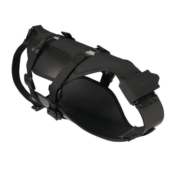 Black dog harness on a white background