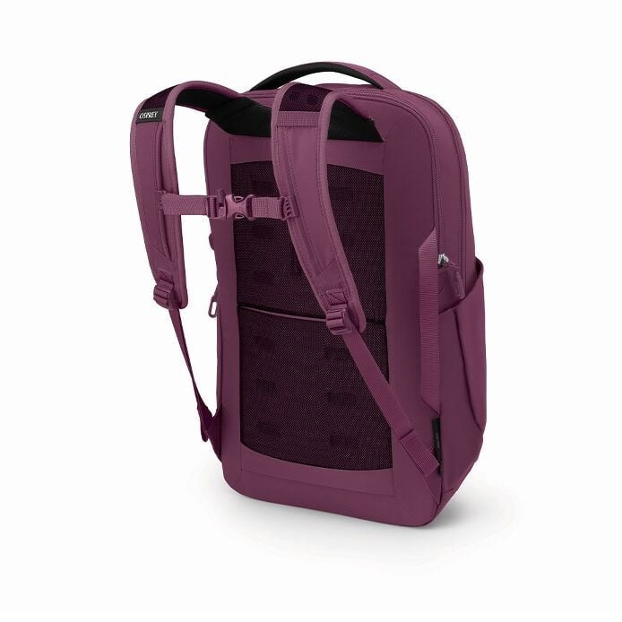 Ozone Laptop Backpack