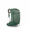 Pine Leaf Green