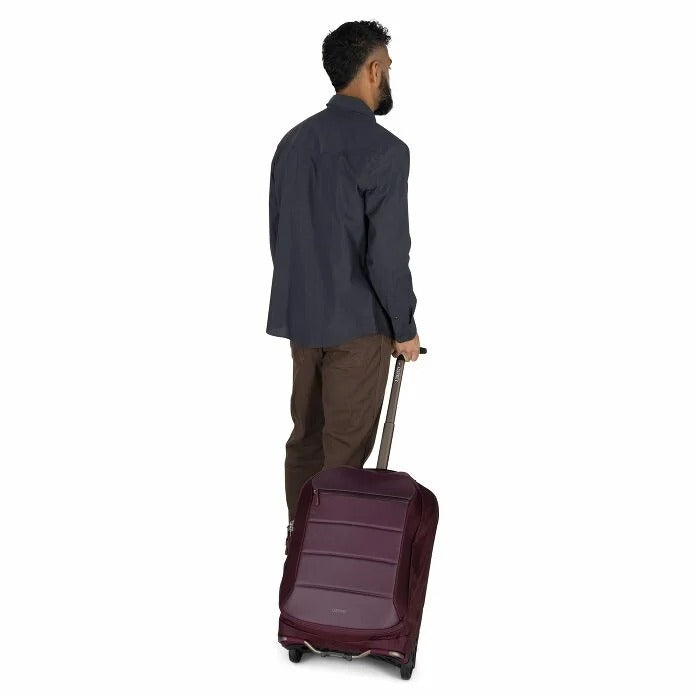Ozone 2-Wheel 40L/21" Carry-On Luggage